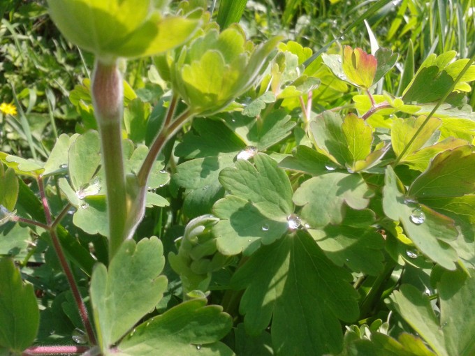 foto5